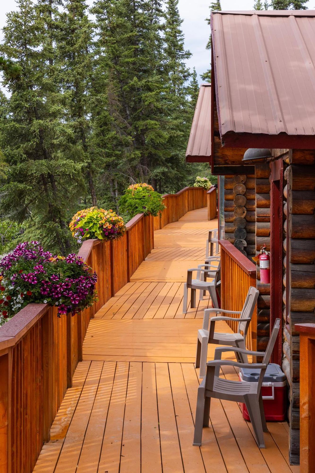 Denali Crow'S Nest Cabins Denali Park Extérieur photo