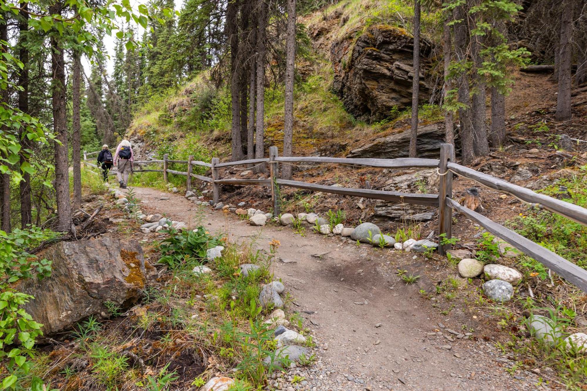 Denali Crow'S Nest Cabins Denali Park Extérieur photo