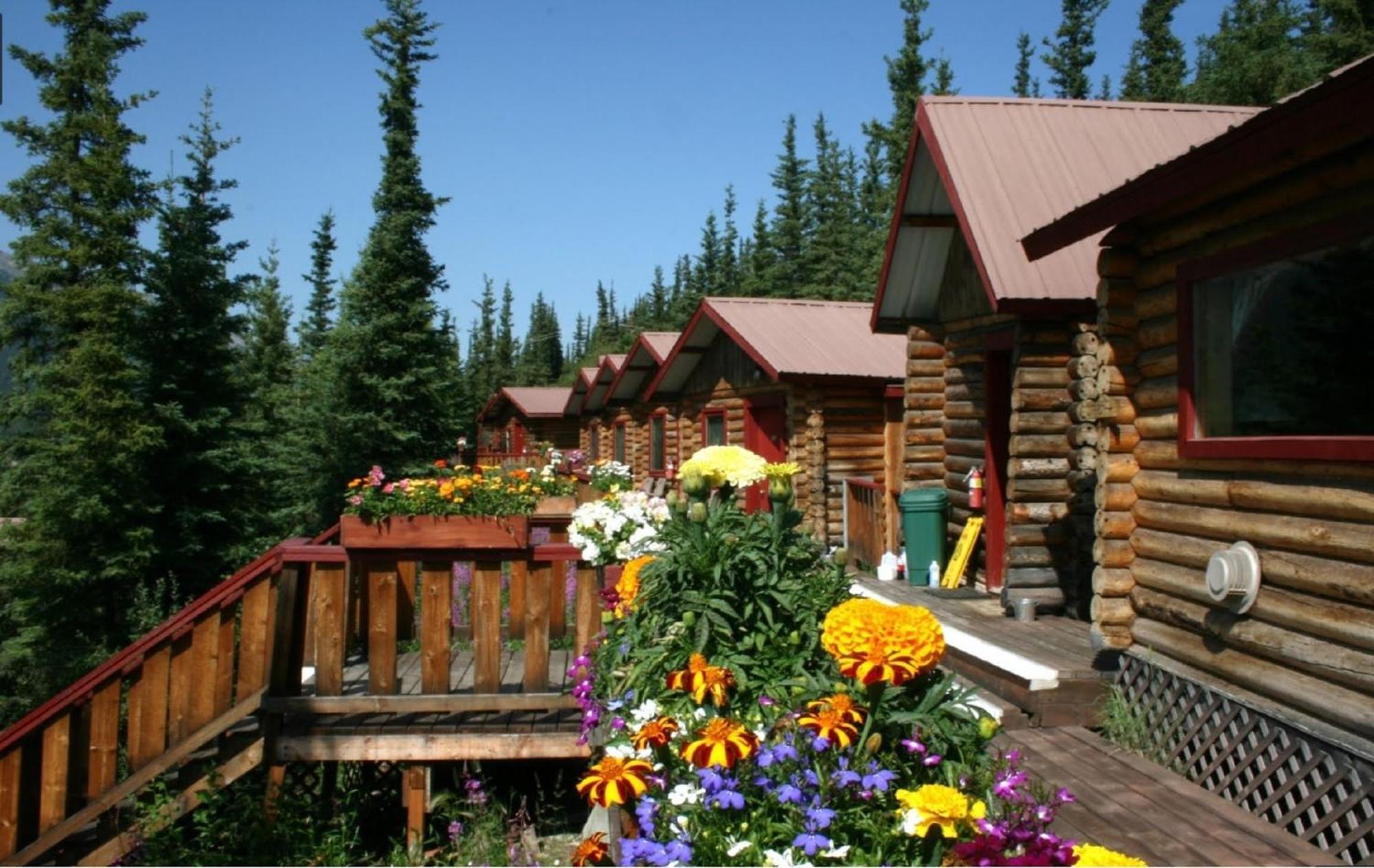 Denali Crow'S Nest Cabins Denali Park Extérieur photo